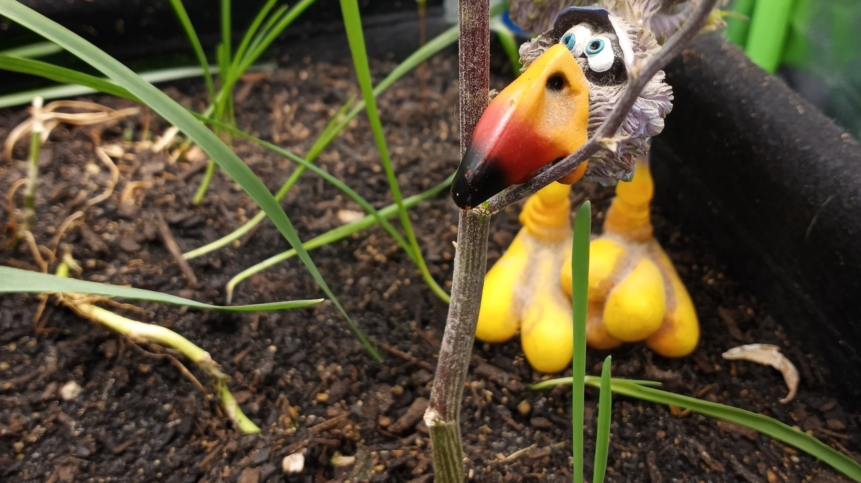 Overseer of the garden.