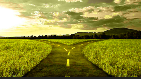 Fork in the Road