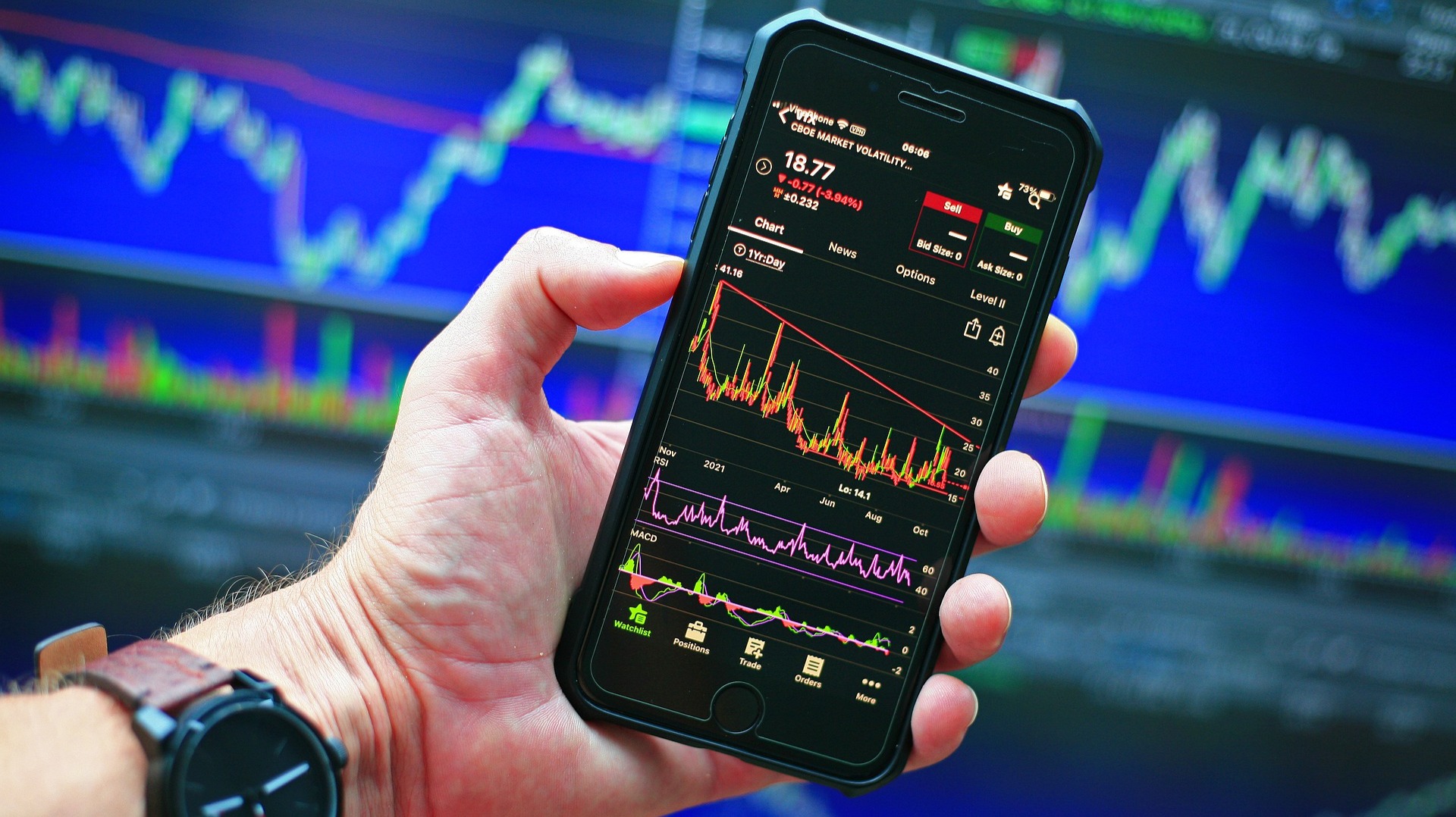 Stock and Crypto Market Trends