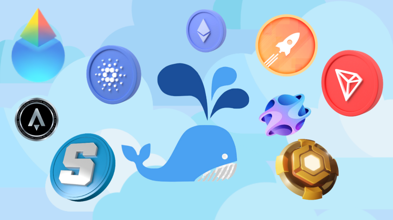 Top 4 Altcoins Cypto Whale are Currently Buying