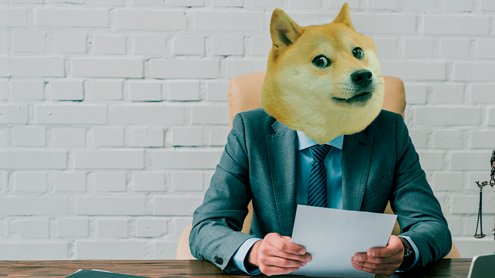 doge investor