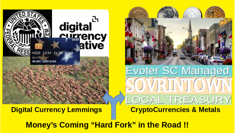 Shaping the Great_Currency_Reset WEC Digital Currency OR Local EVoter Managed SOVRINTown Local Treasury of Cryptos n Metals
