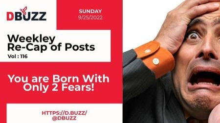 Recap of this Week's Posts by D.Buzz Vol.116