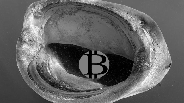 Bitcoin whales