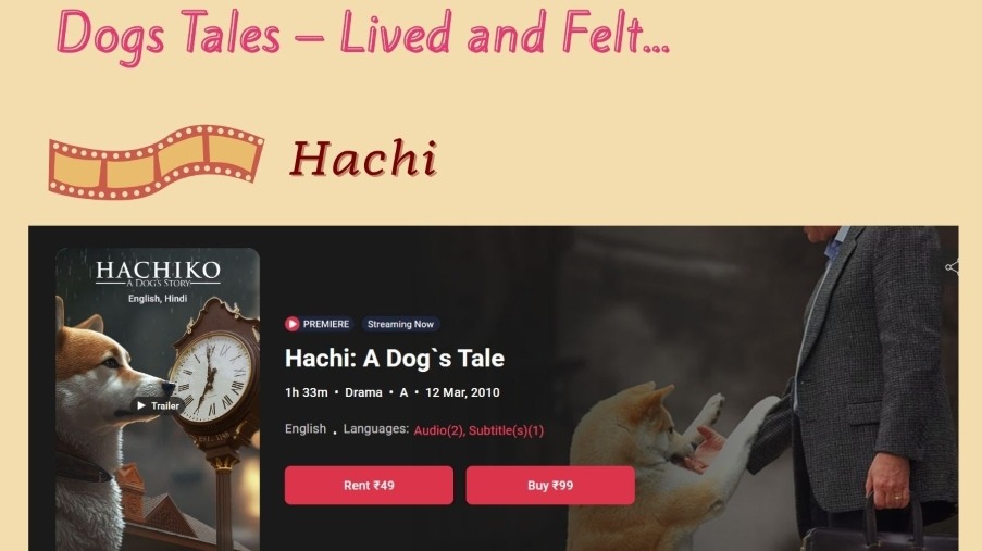 Hachi, Angel, and Sterling: Stories of Dogs, Care, and Quiet Loyalty