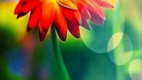 The beauty of the live.