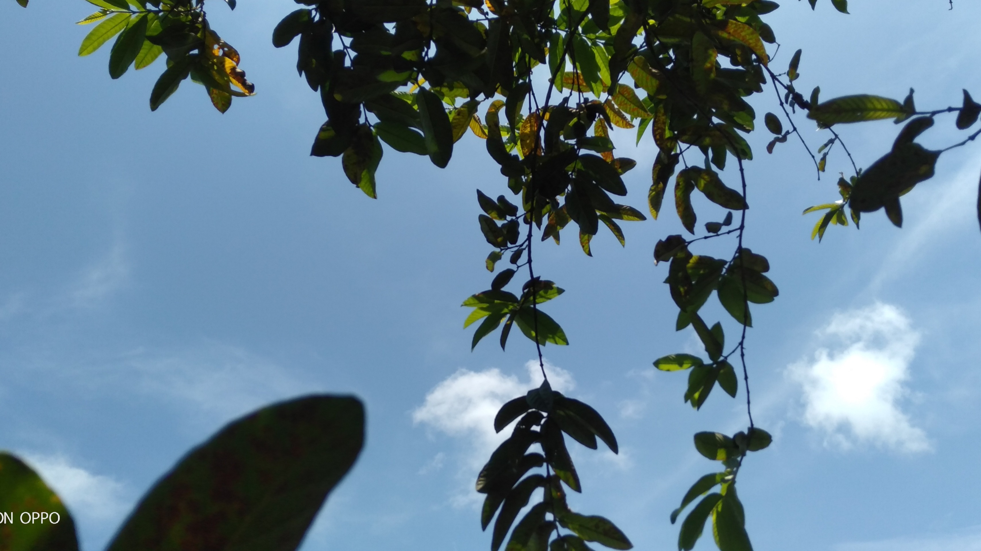 Bluer Sky, Beautiful Life