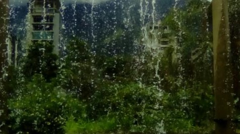 1. Cortina de agua Parque del Este, Caracas, Venezuela (foto de mi propiedad tomada con teléfono celular)
