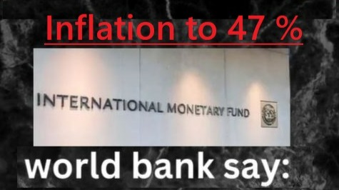 imf