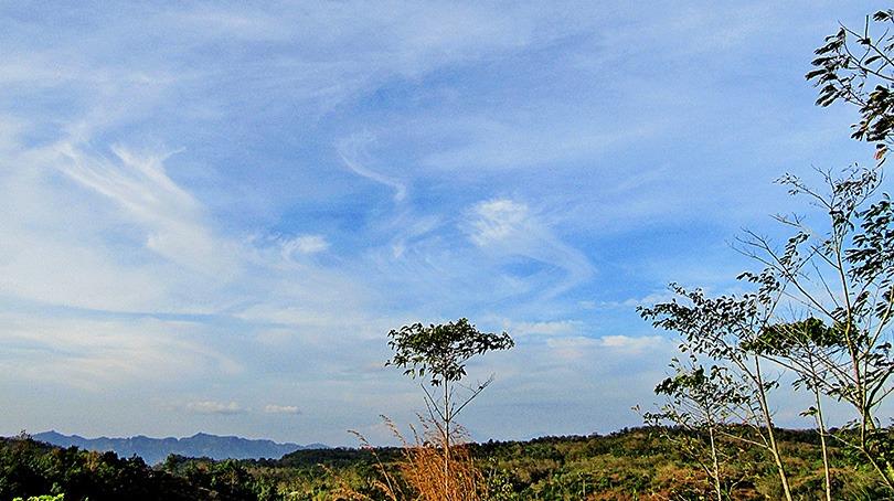 Tree an sky, by abisai