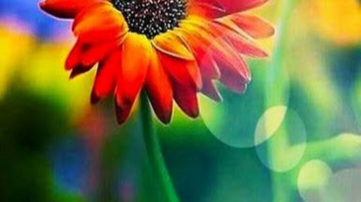 The beauty of the nature welcoming innovation