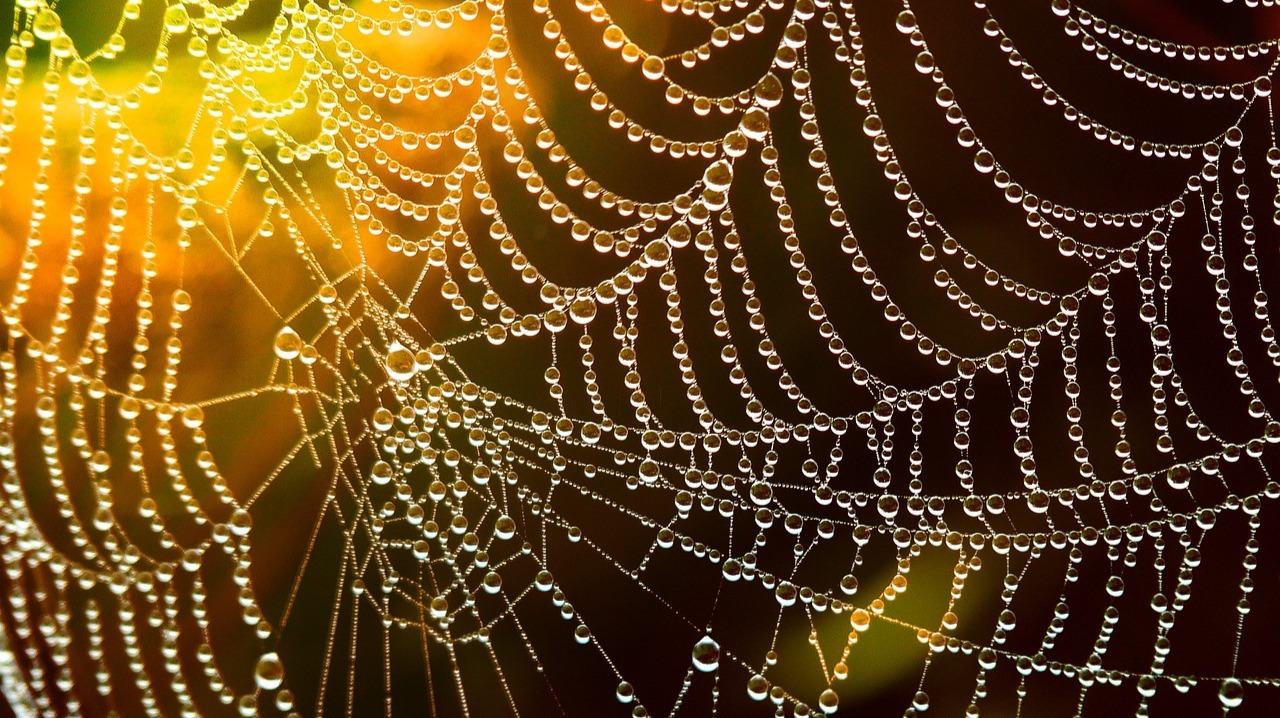 Web3 creators
