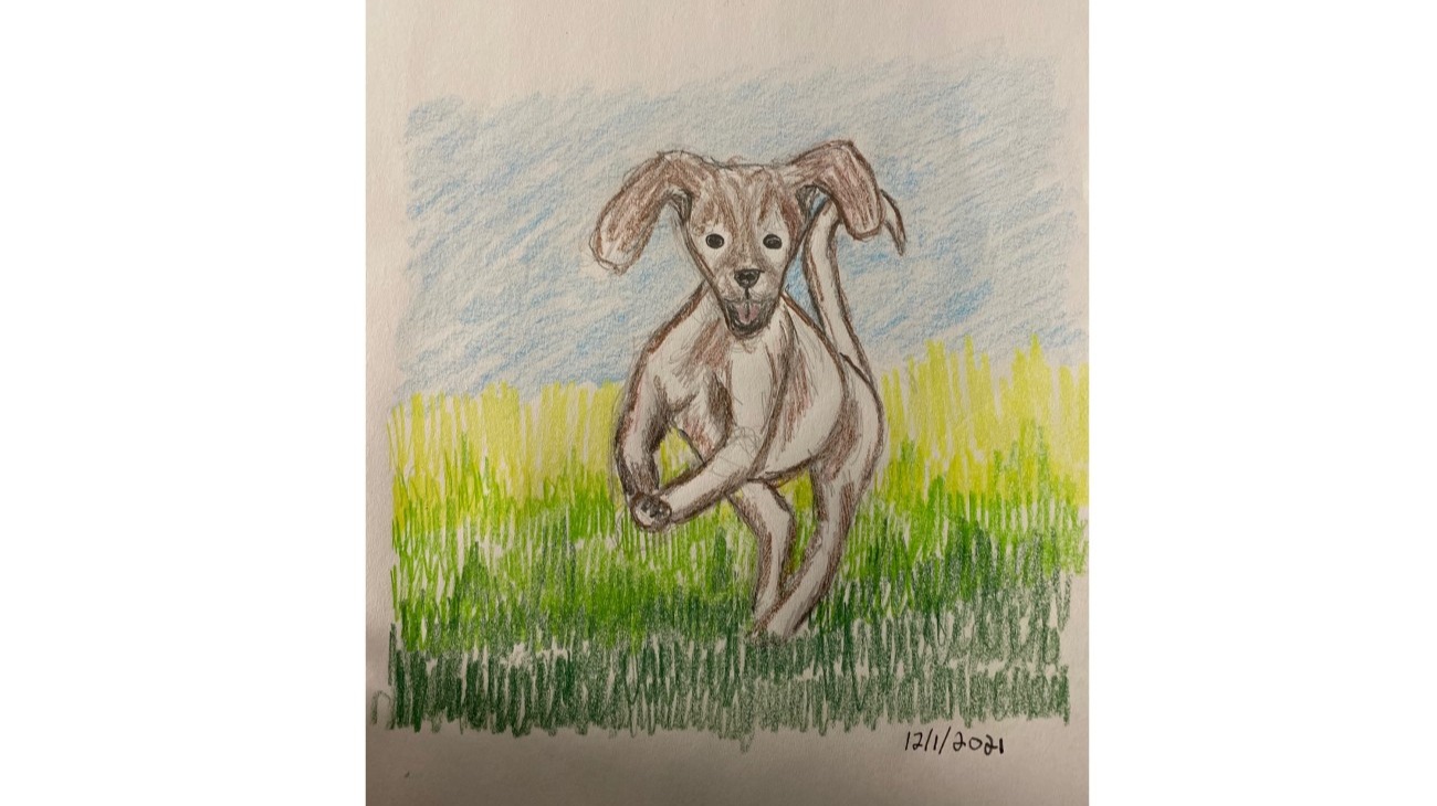 Doggy leaping in the air - colored pencils