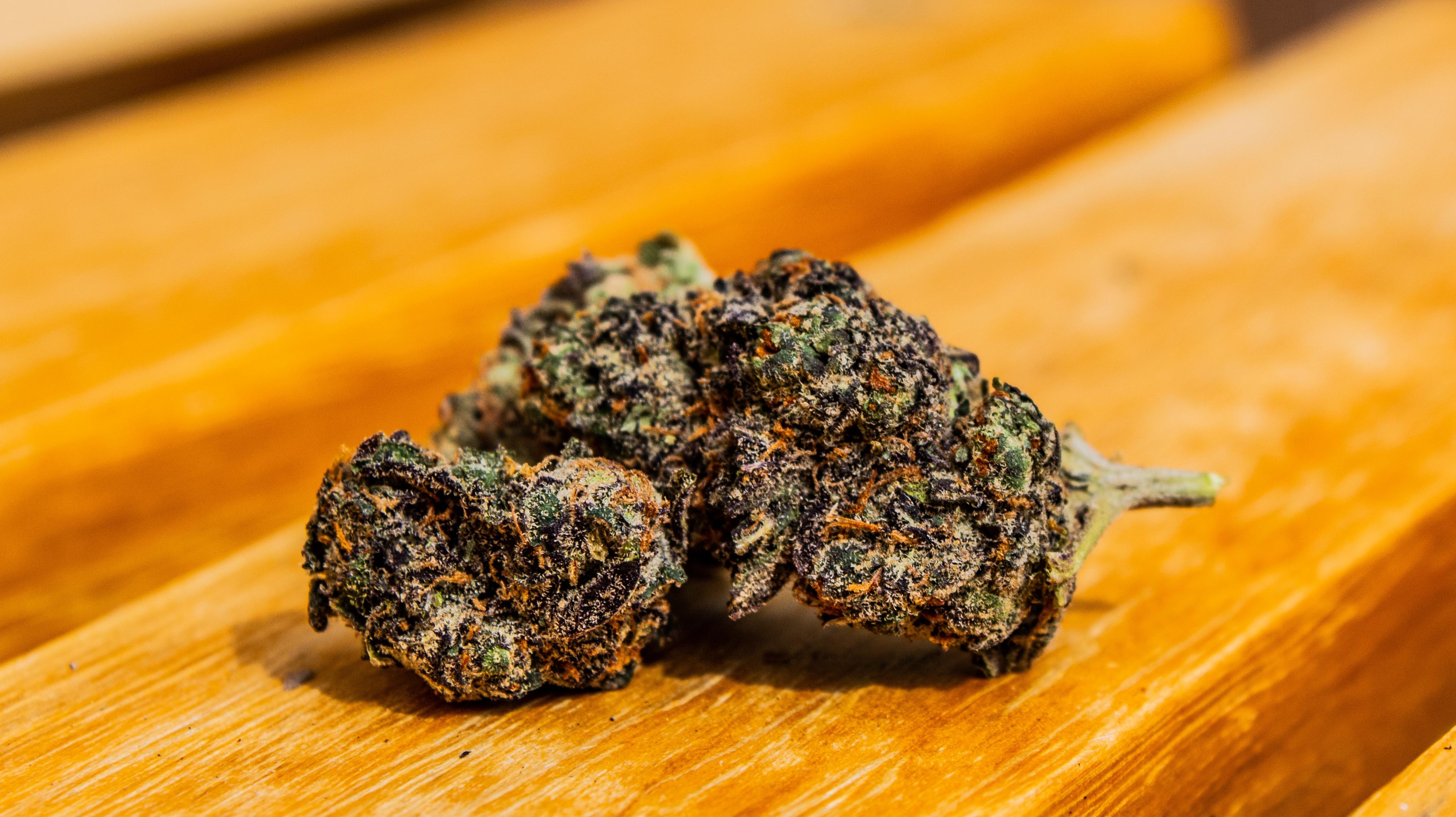 The most important cannabis research in 2020