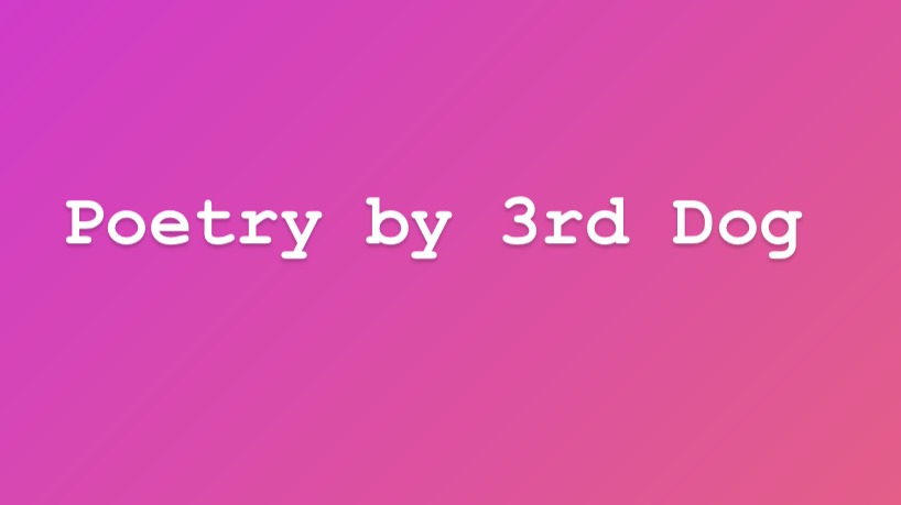 poetry by 3rd dog