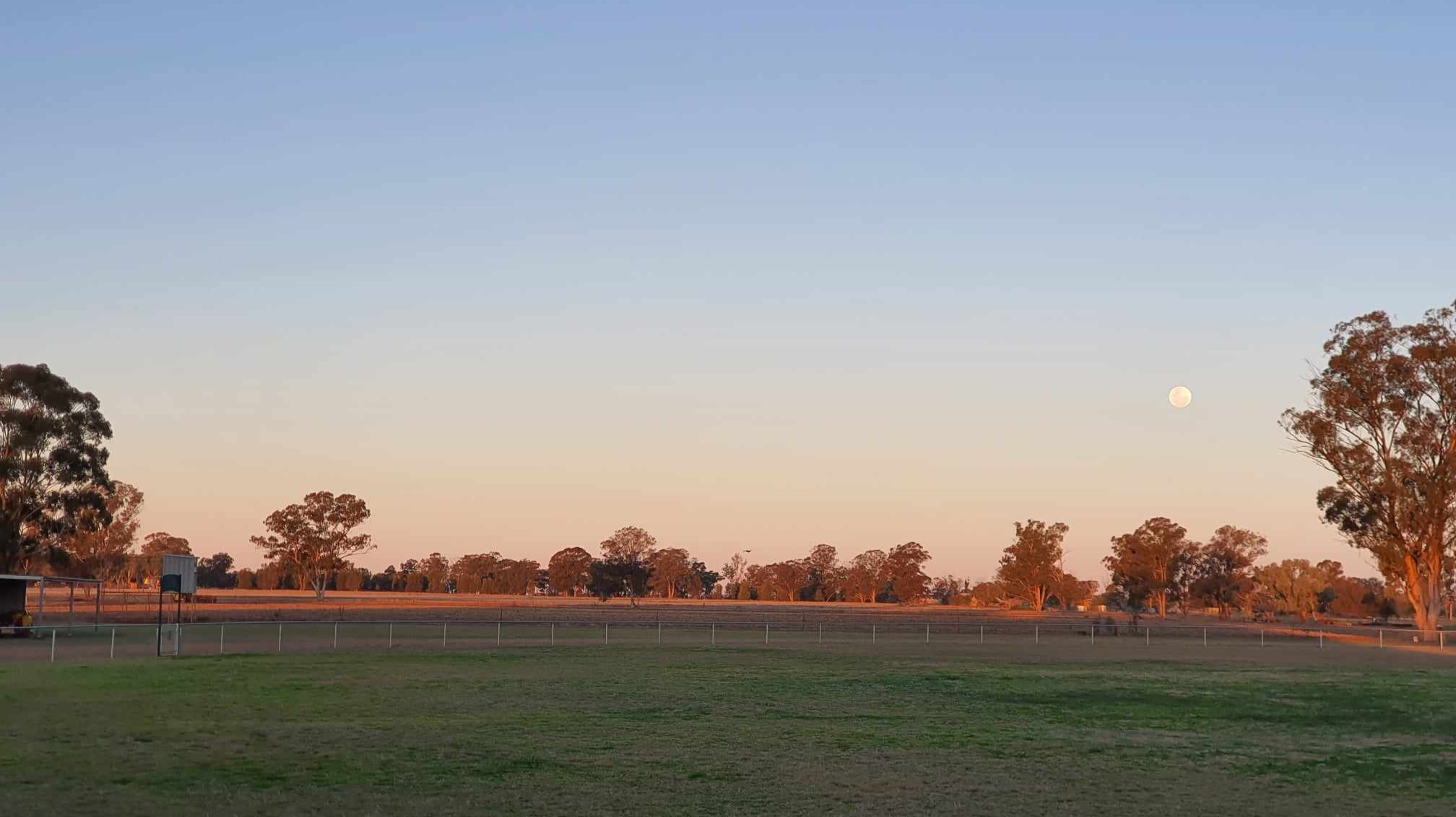 We took a short trip from Denman, through Coonabarabran and the Warrumbungles, and on to Dubbo.