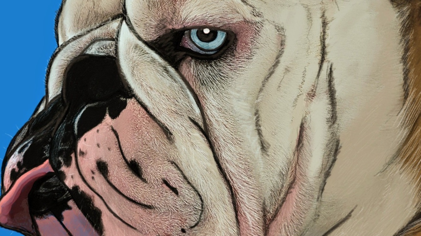 Odin the English Bulldog