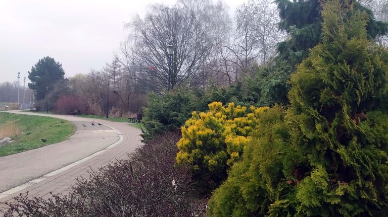 Monday cloudy, with light rain, but warm and above all spring-like - My ...