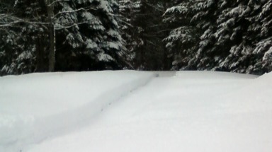 winter