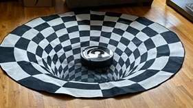 Roomba on silly carpet