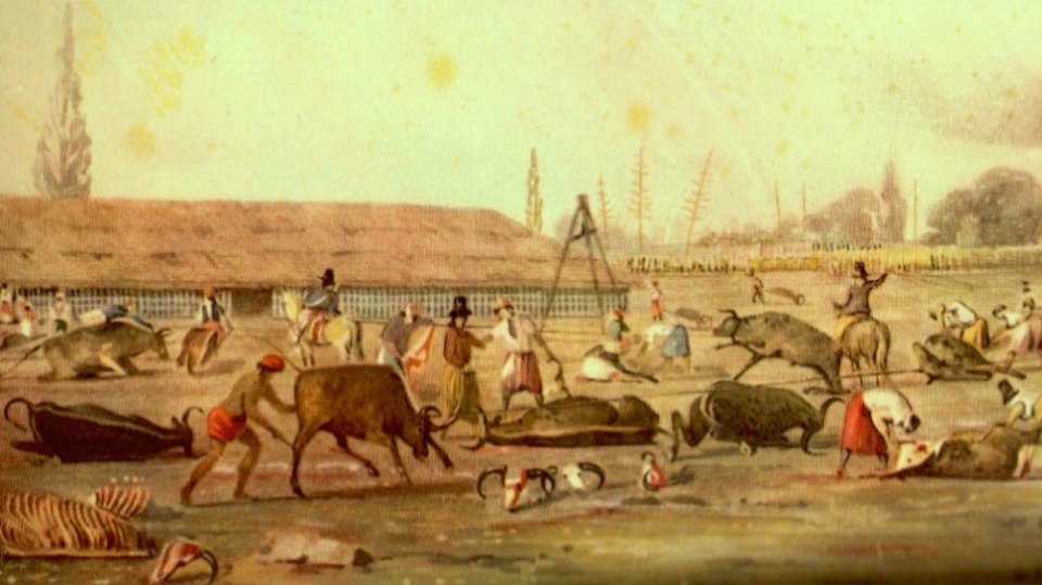 Matadero de Buenos Aires, por Carlos Pellegrini