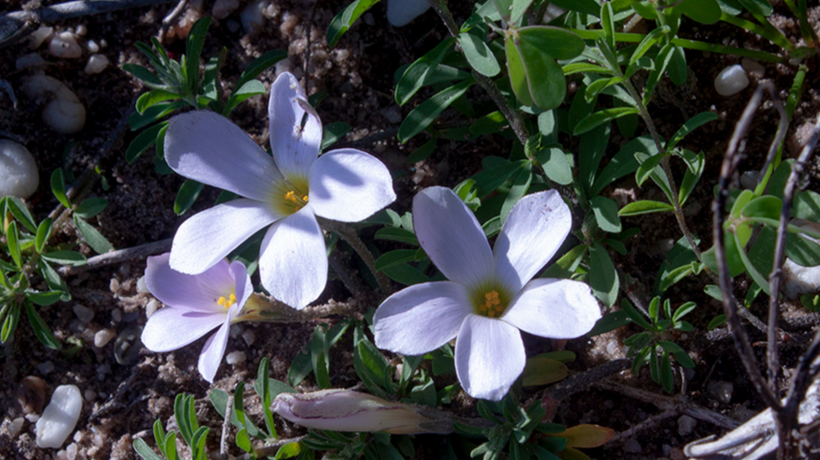 Nature reminds us to be grateful
