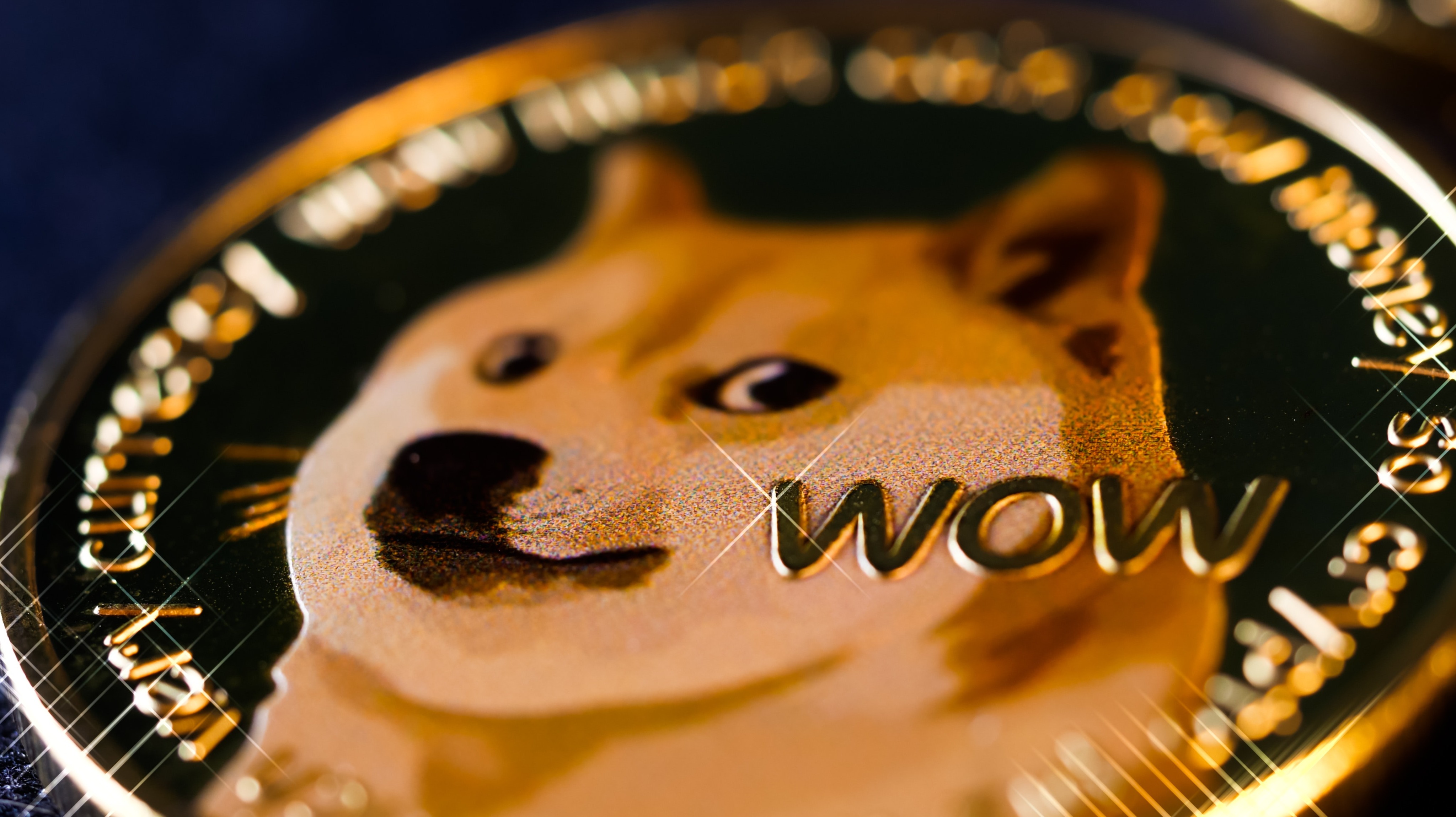 Dogecoin coin