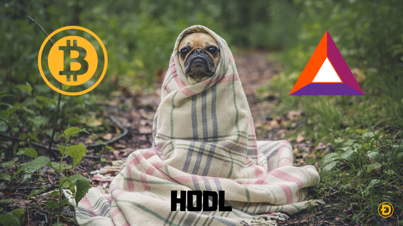 top 5 HODL