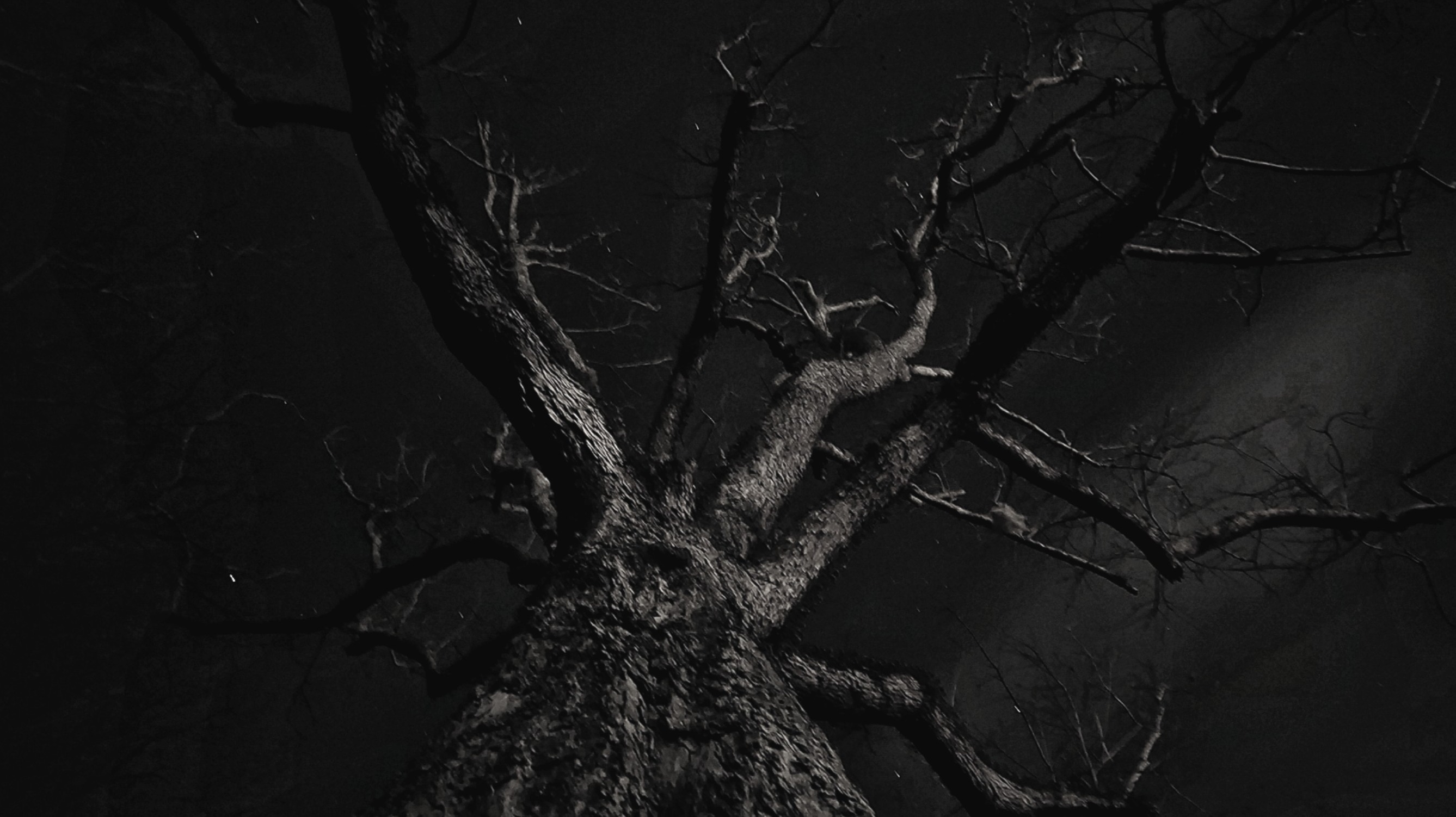 In the Night