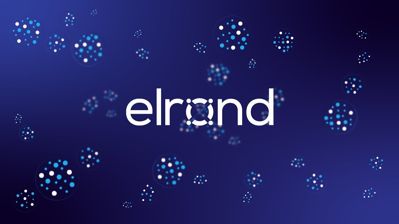 Elrond La Blockchain d'infrastruttura veloce e sicura!