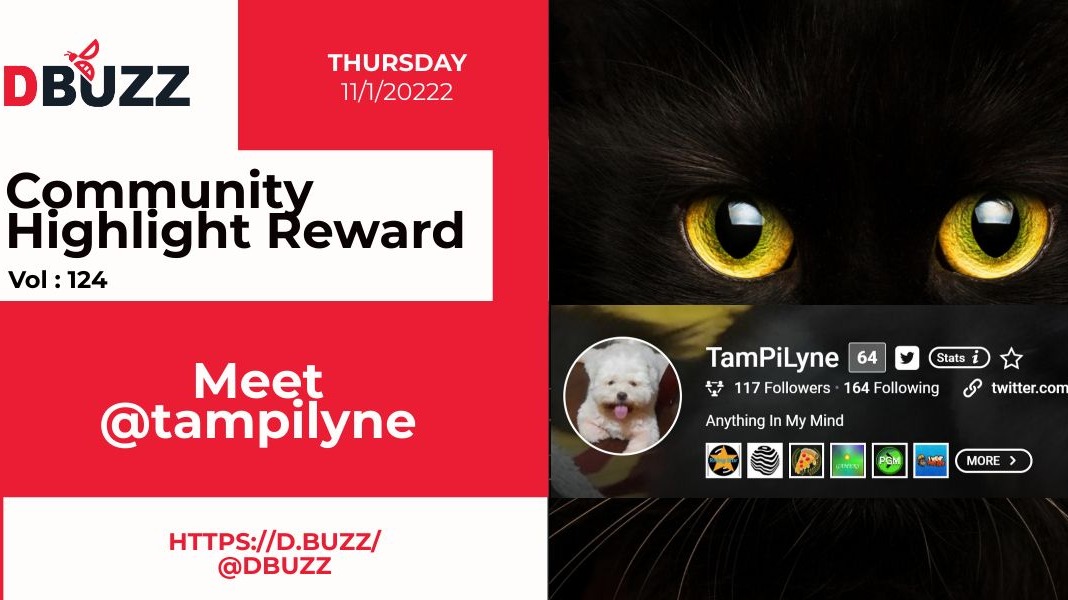 D.Buzz Community Highlight: @tampilyne