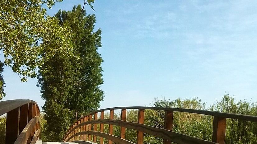 path; bridge