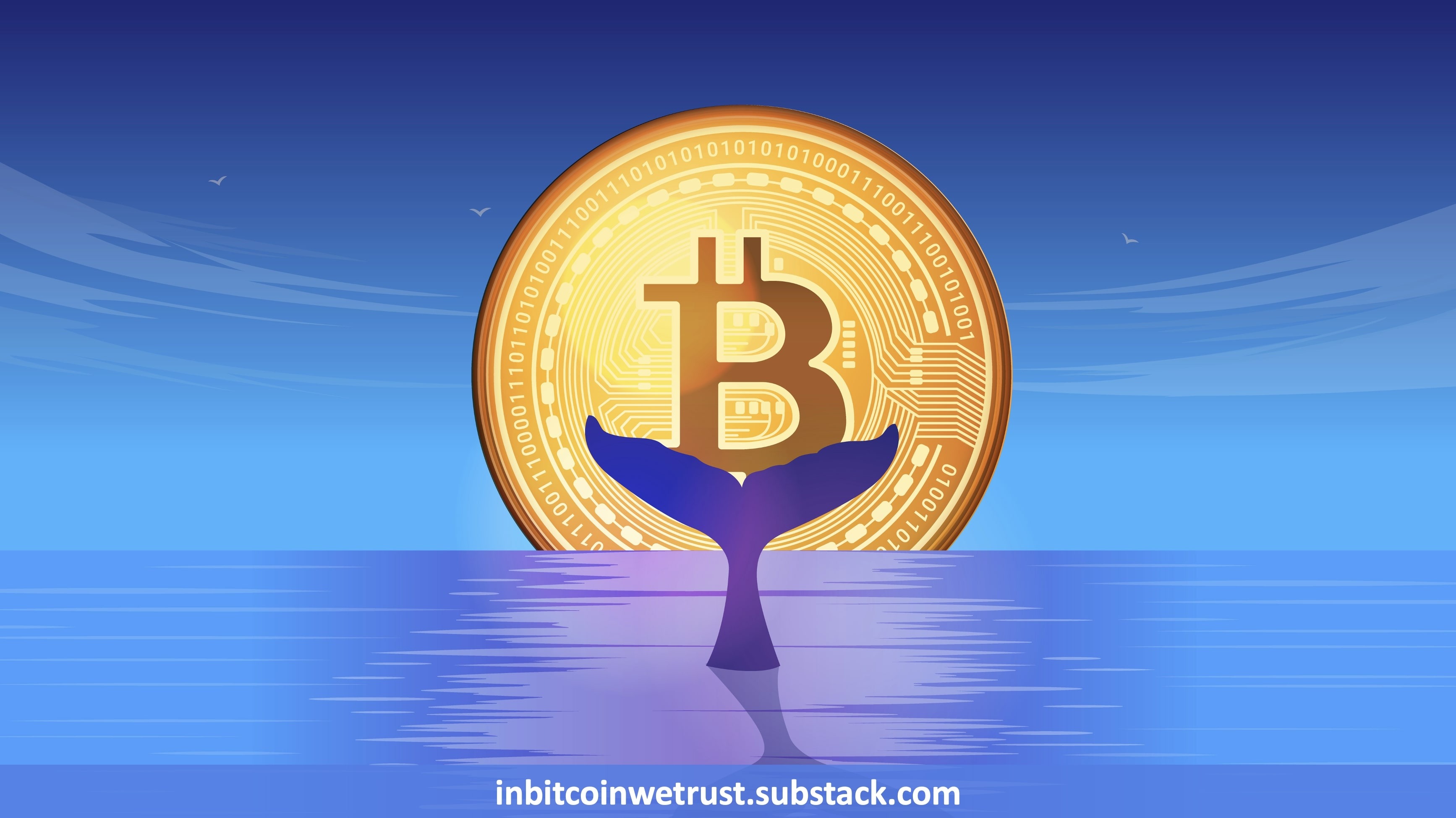 Mr. Whale Accuses Michael J. Saylor of Selling His Bitcoin in Secret – A  Few Things for You To Judge Who the Liar Is Here.