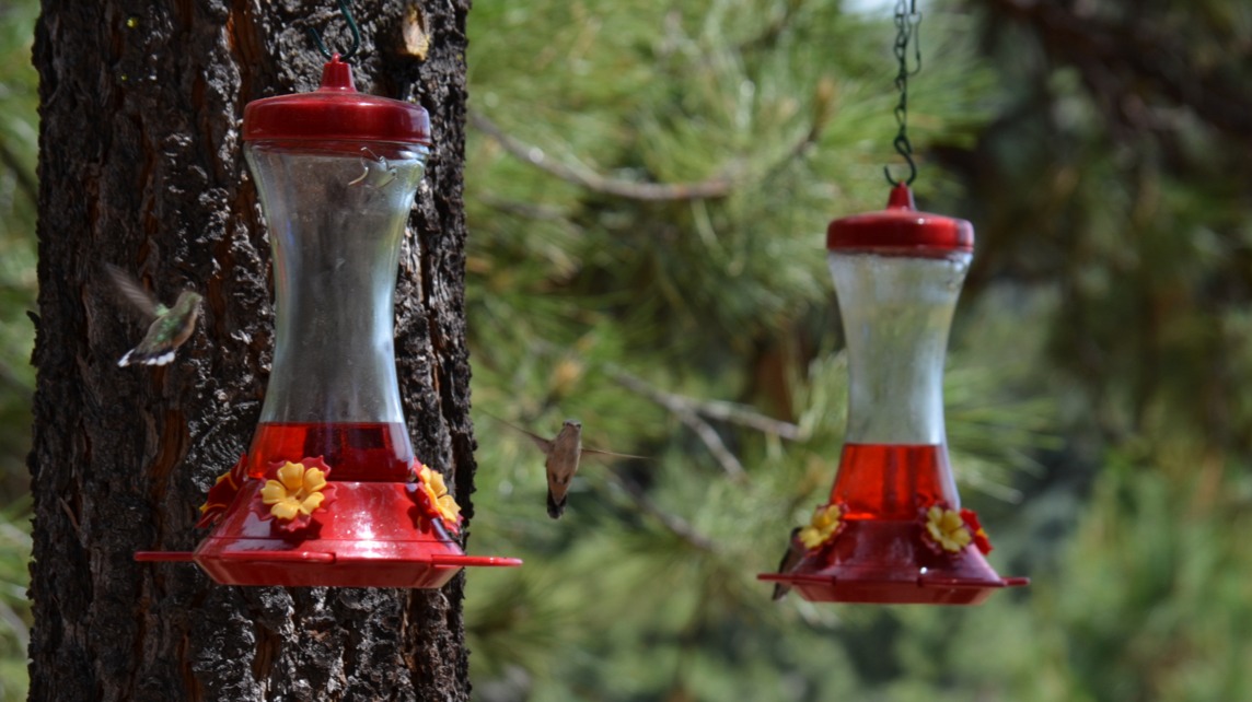 Feeder