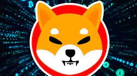 SHiba