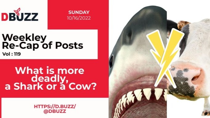 Recap of this Week's Posts by D.Buzz Vol.119