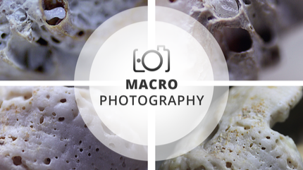 #2 Macro Photography Session | General view of erosion