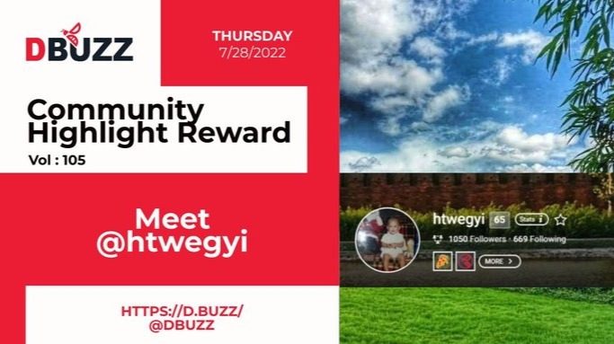 D.Buzz Community Highlight: @htwegyi
