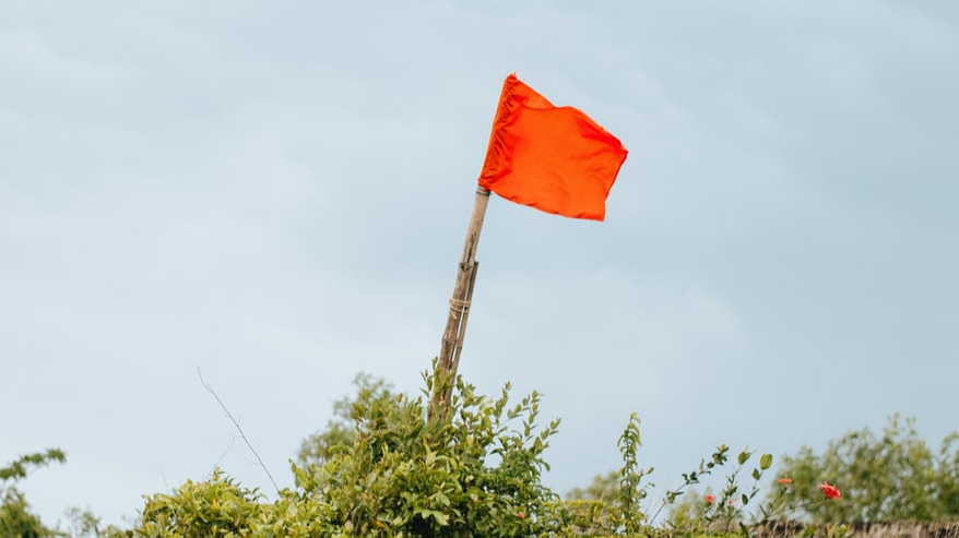 Red flag on a bamboo pole in foliage