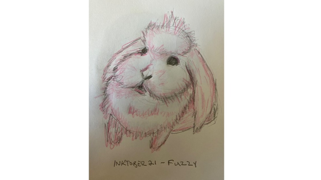 Fuzzy bunny - pencil and colored pencil