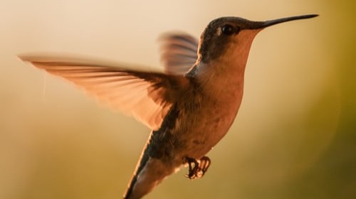 image by Mark Olsen from Unsplash.com