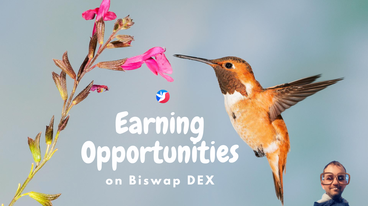 Multiple Earning Opportunities on Biswap DEX