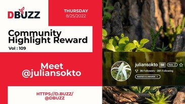 D.Buzz Community Highlight: @juliansokto