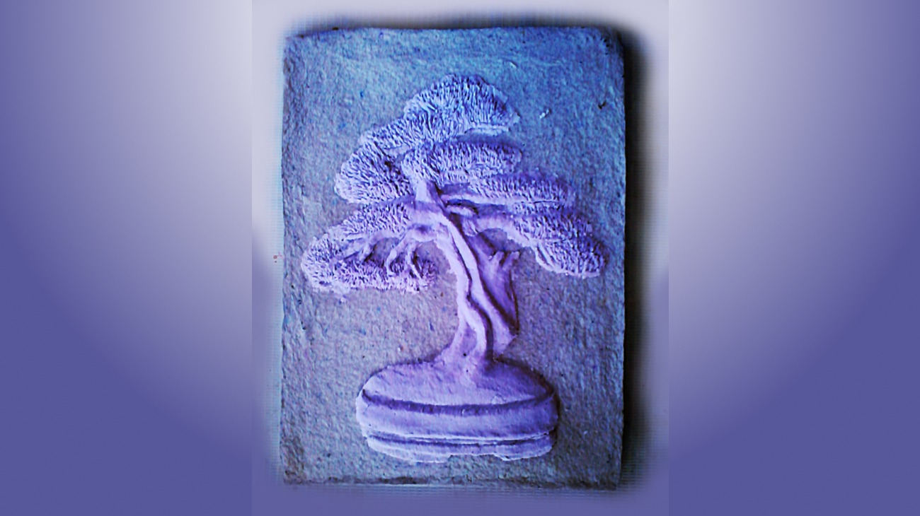 Bonsai on a Paper Clay Canvas