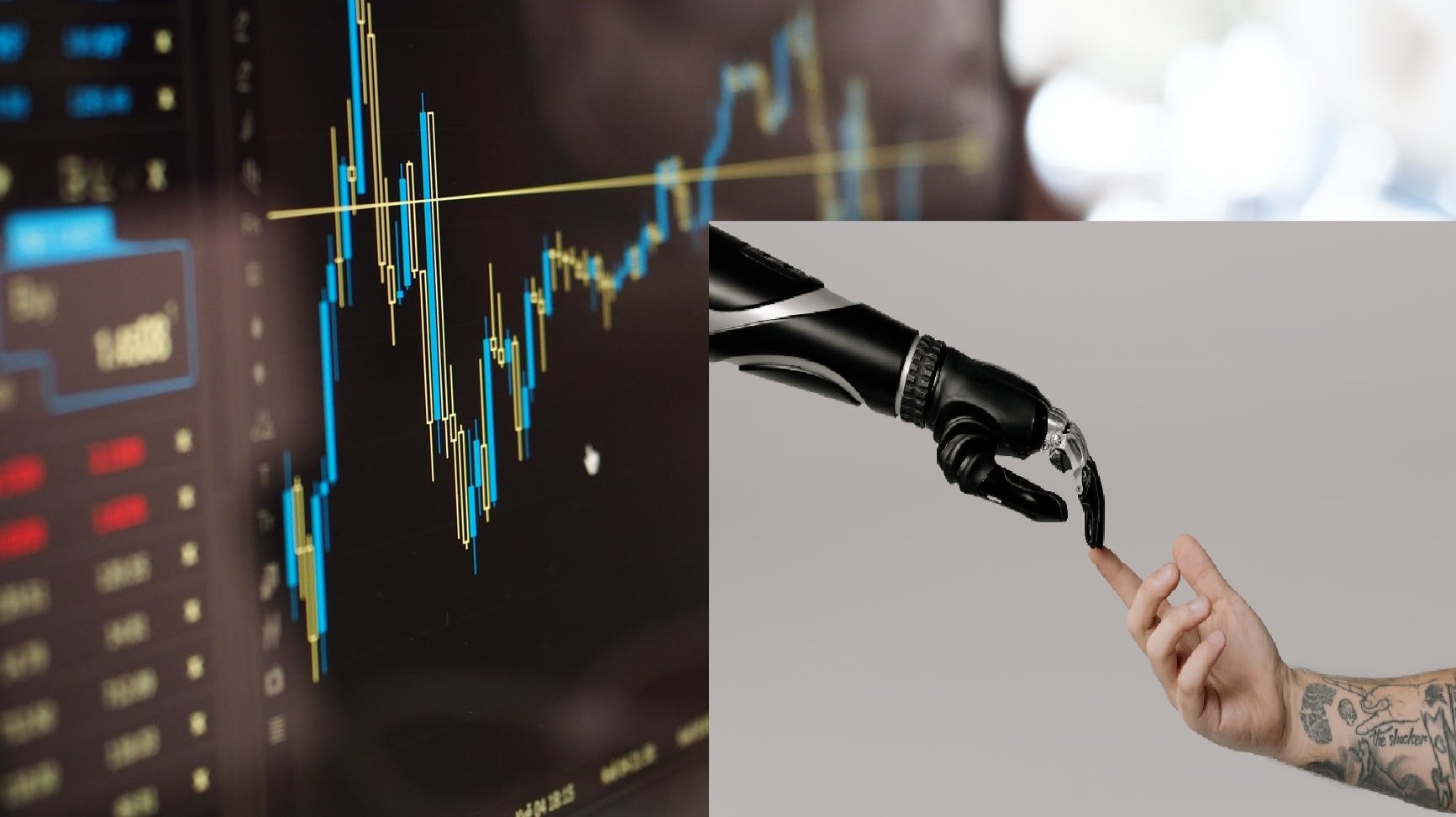 Our human greed. Are they our friends or are they going to destroy our portfolio? We will see.