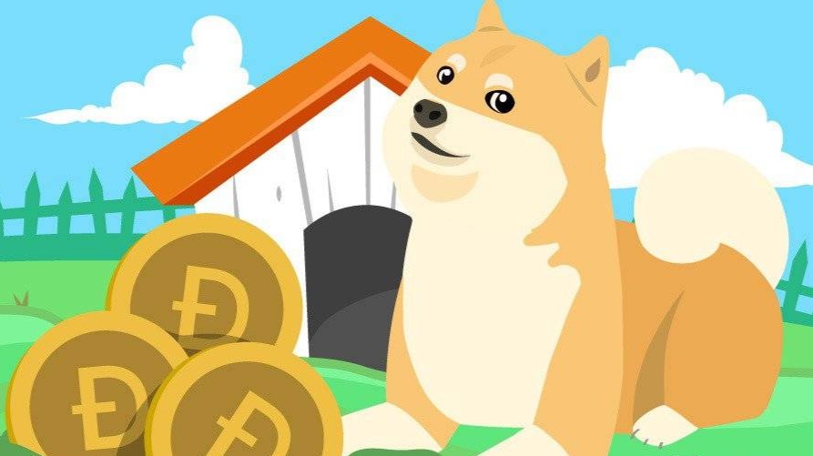 gran dogecoin.
