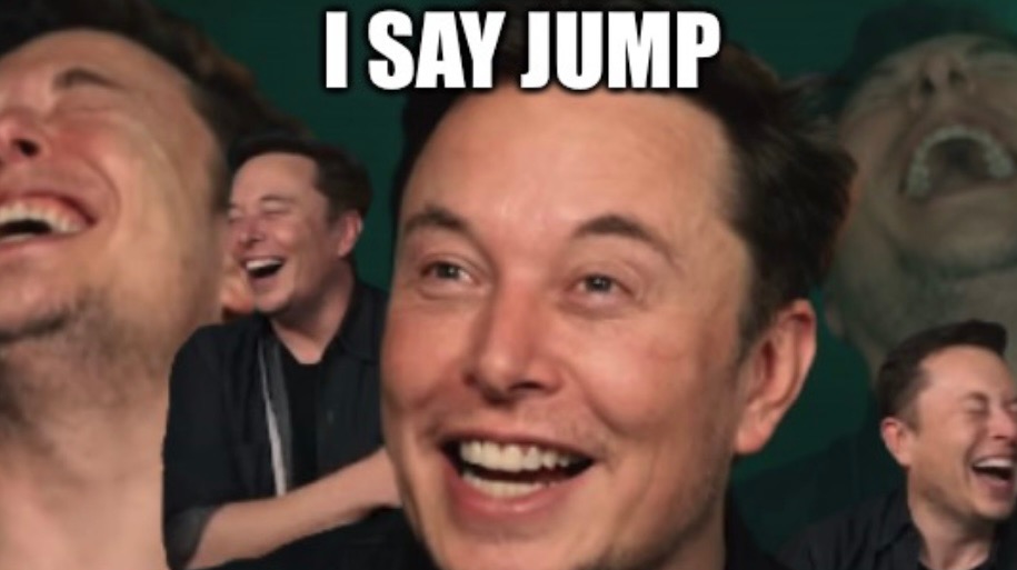 Jump Elon