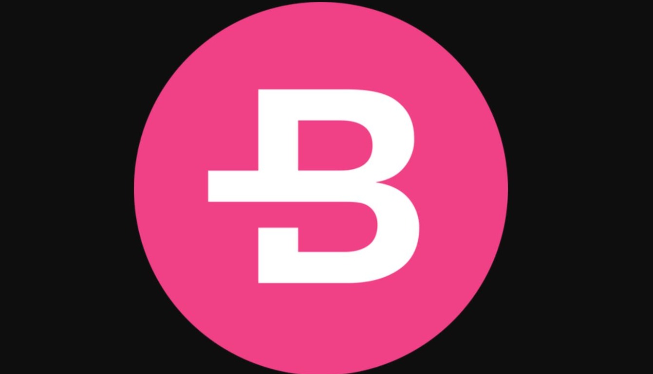 What is Bytecoin (BCN)? [A Comprehensive Guide to Understanding Bytecoin]