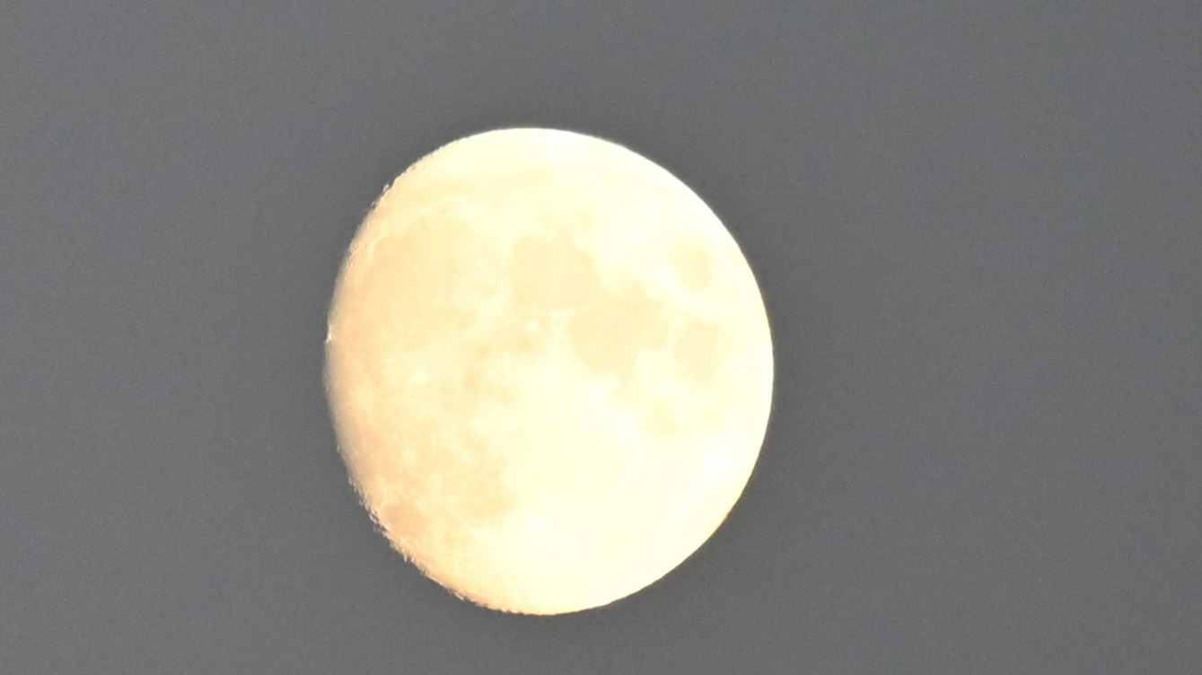 To the moon