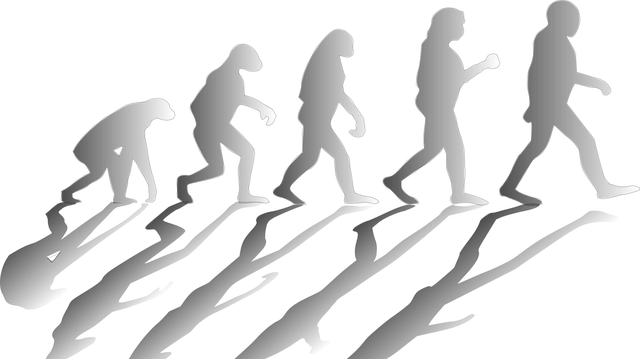 Do the people know why the mind evolves? People rarely know why their mind evolves